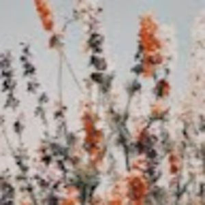 Meet your Posher, Ella